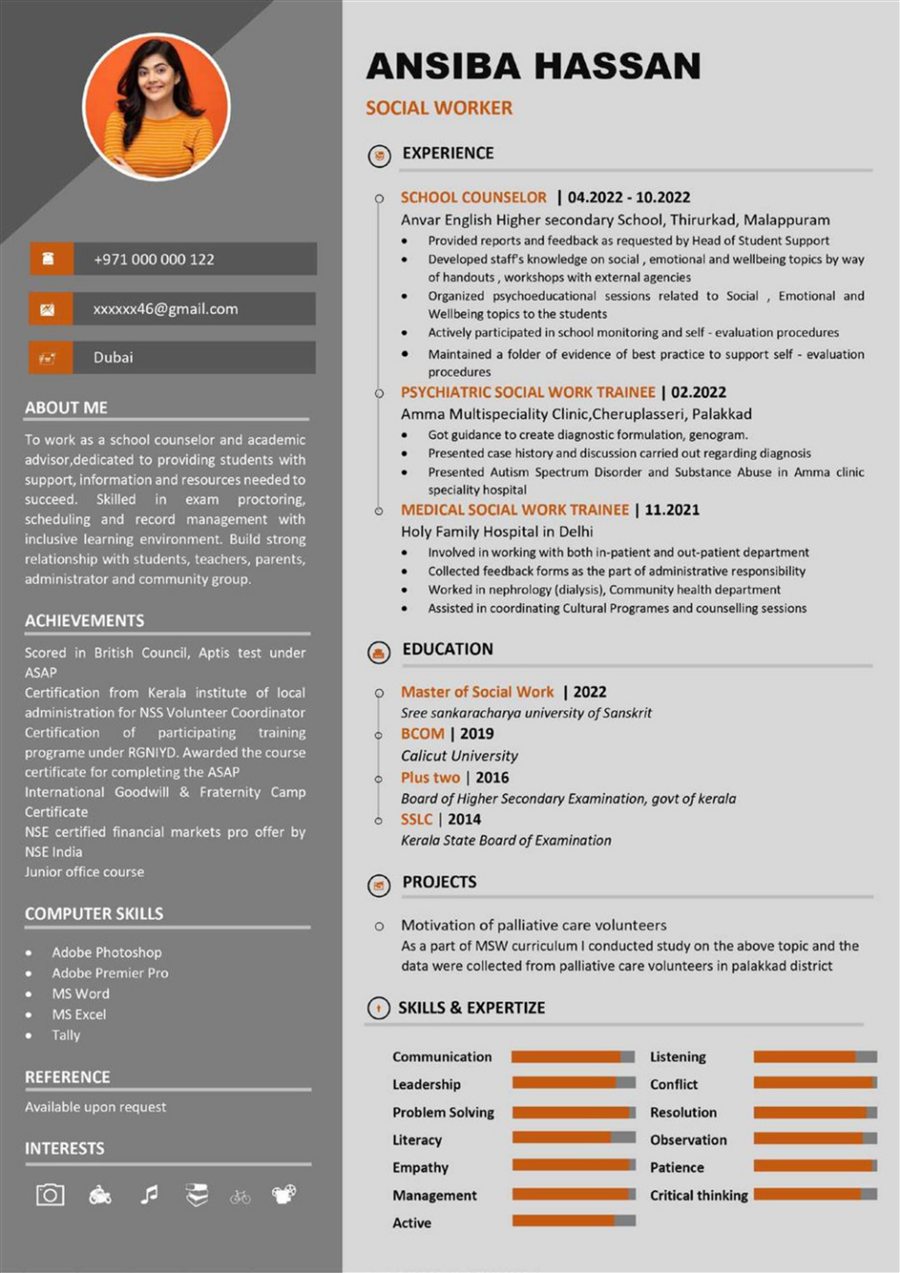 Professional resume sample 13