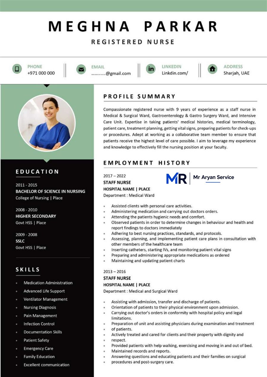 Professional resume sample 14