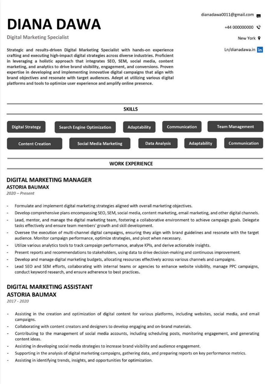Professional resume sample 15