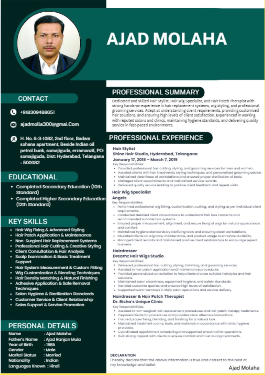 Professional resume sample 19