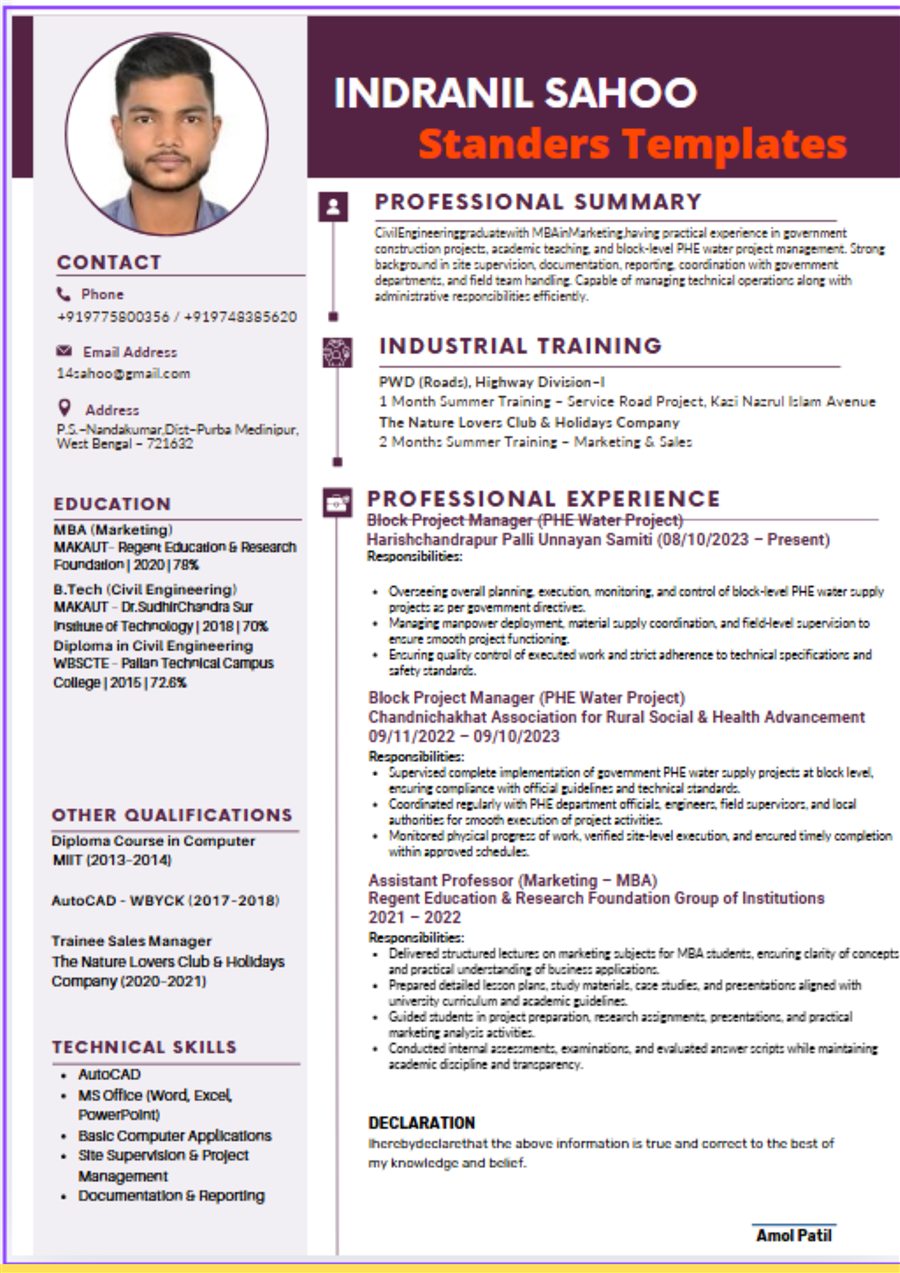 Professional resume sample 20