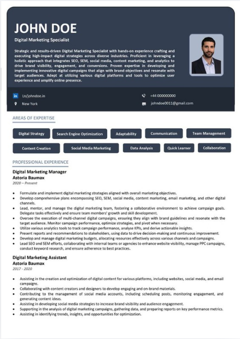 Professional resume sample 25