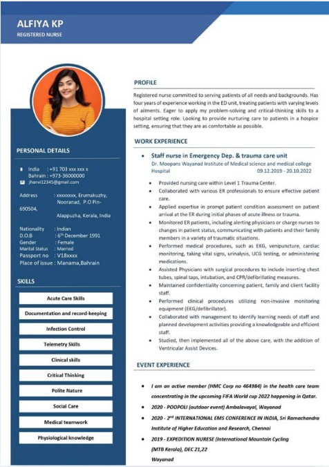 Professional resume sample 28