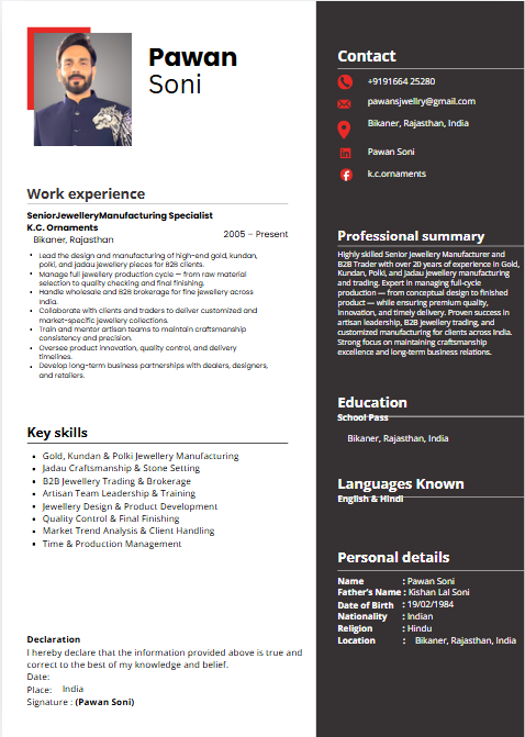 Professional resume sample 30