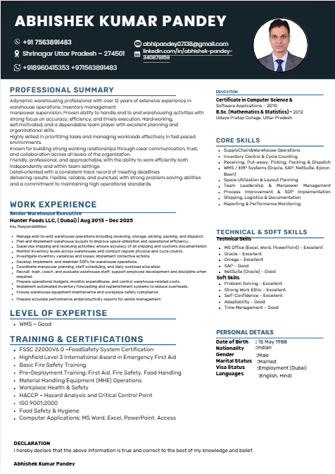 Professional resume sample 31