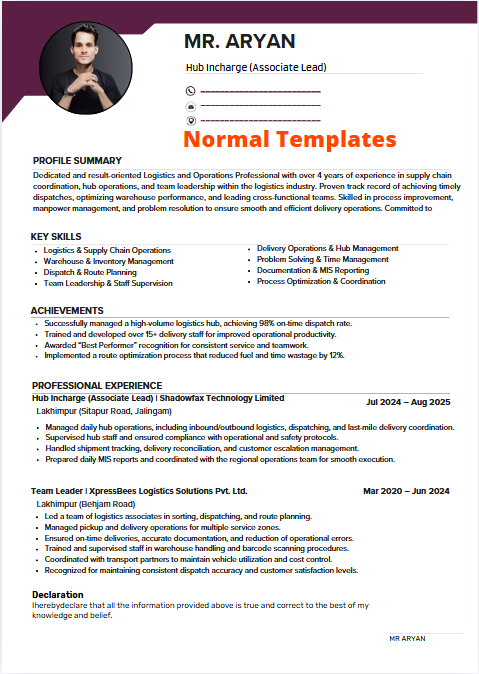 Professional resume sample 35